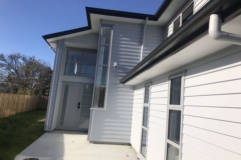 Photo of property in 43 Nikau Street, New Lynn, Auckland, 0600