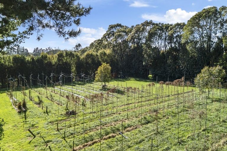 Photo of property in 574 Otaraoa Road, Tikorangi, Waitara, 4383