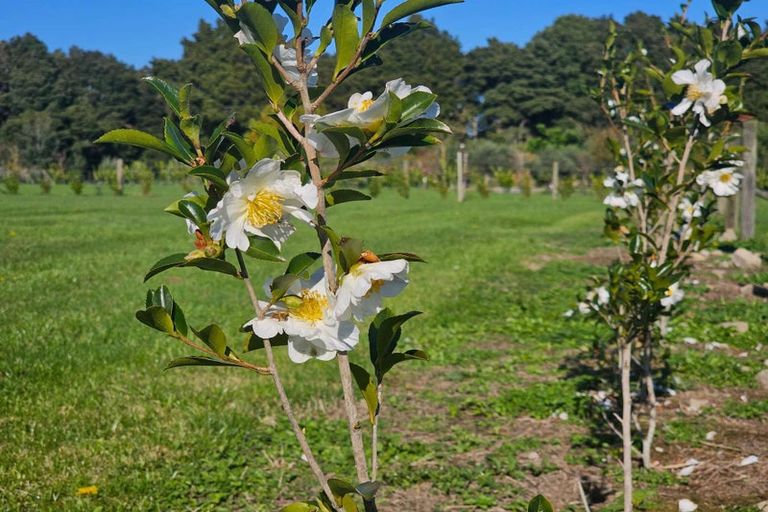 Photo of property in 35 Woven Stone Way, Ohau, 5570