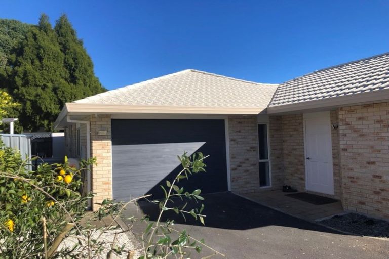 Photo of property in 180 Maungatapu Road, Maungatapu, Tauranga, 3112