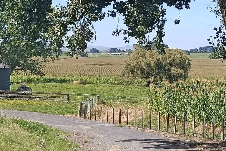 Photo of property in 863 Tauhei Road, Tauhei, Morrinsville, 3375