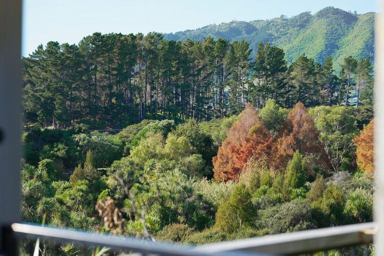 Photo of property in 9 Te Heke Place, Waikanae, 5036