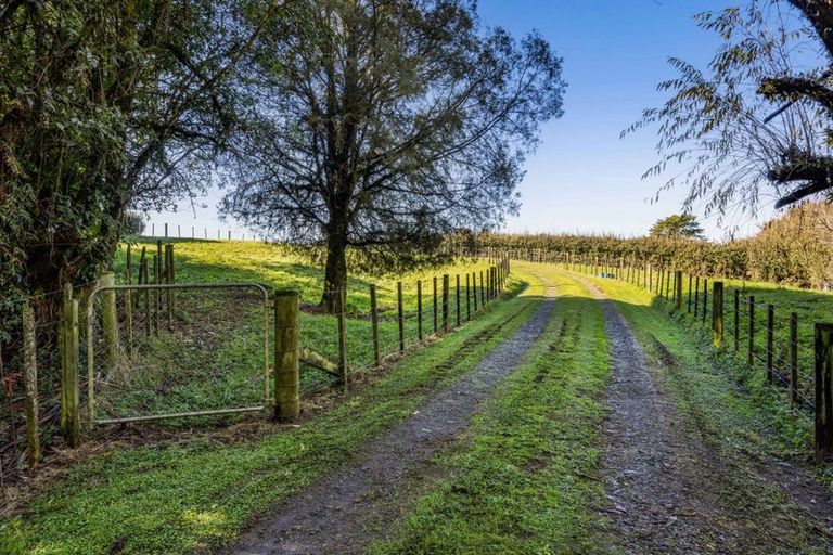 Photo of property in 66 Kent Terrace, Midhirst, Stratford, 4394