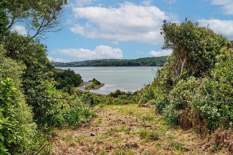 Photo of property in 44 Molyneux Close, Whitby, Porirua, 5024