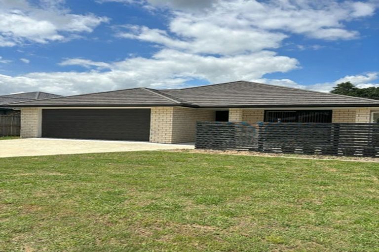 Photo of property in 7 Sargent Place, Otorohanga, 3900