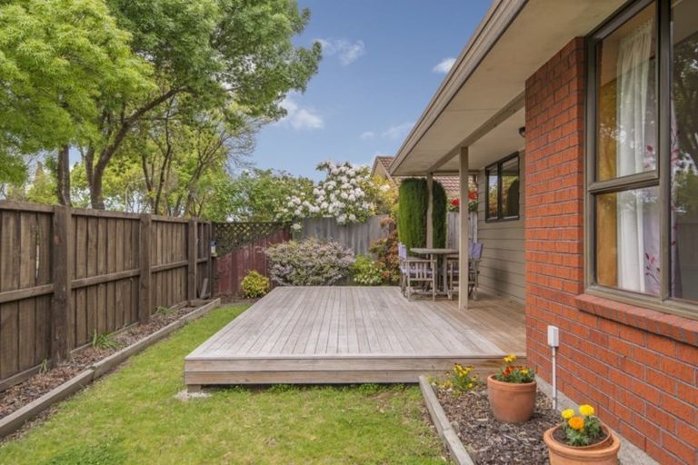 Photo of property in 41 Monaghan Street, Northwood, Christchurch, 8051