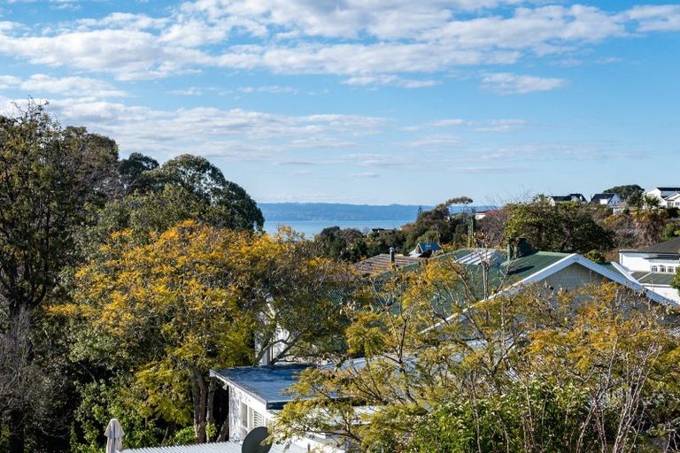 Photo of property in 55 Napier Terrace, Hospital Hill, Napier, 4110