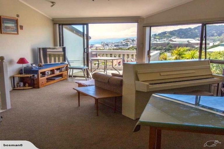 Photo of property in 53 Hankey Street, Mount Cook, Wellington, 6011