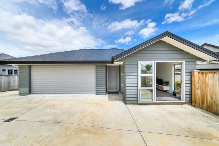 Photo of property in 96a Sherwill Street West, Feilding, 4702