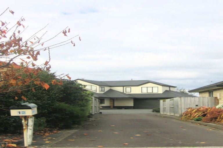 Photo of property in 12 Rothesay Place, Highbury, Palmerston North, 4412