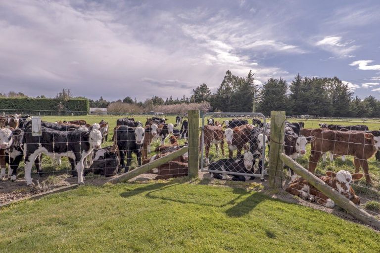 Photo of property in 201 Hollands Road, Tinwald, Ashburton, 7771