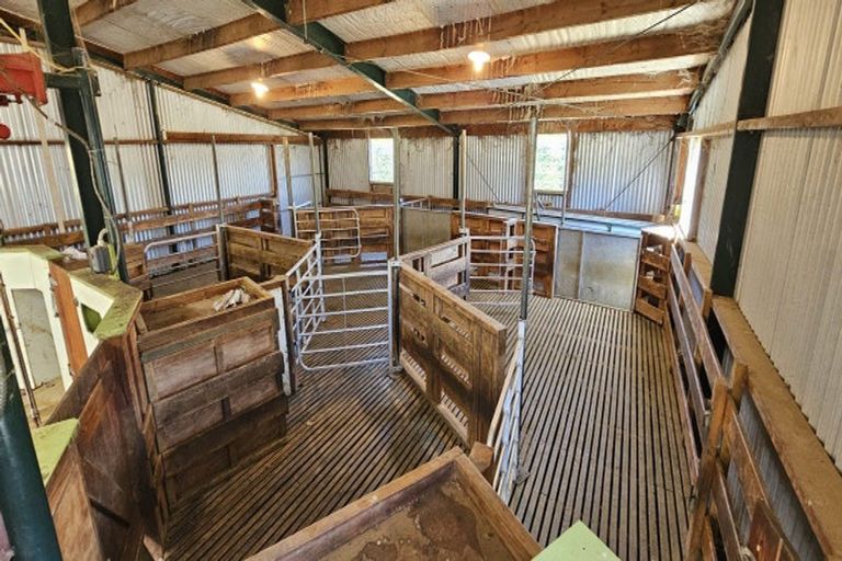Photo of property in 27c Strathmore Avenue, Strathmore Park, Wellington, 6022