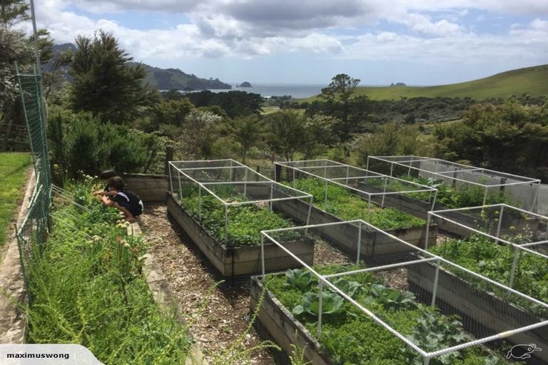 Photo of property in 17 Harbour Lights Terrace, Whitianga, 3592