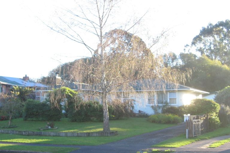 Photo of property in 18 Elizabeth Drive, Tokoroa, 3420