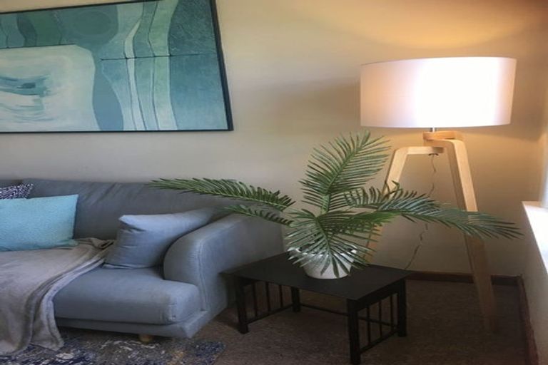 Photo of property in 16 Freyberg Street, Roslyn, Palmerston North, 4414