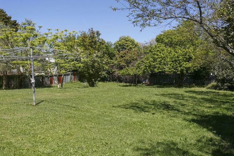 Photo of property in 53 Scannell Street, Taupo, 3330