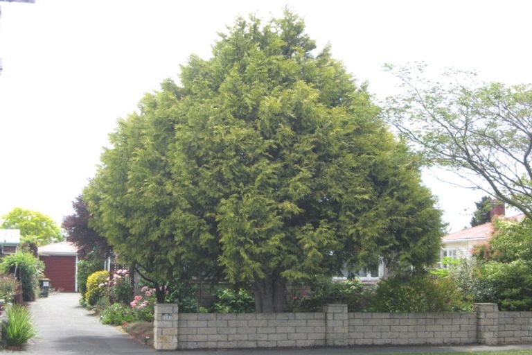 Photo of property in 28 Simeon Street, Spreydon, Christchurch, 8024