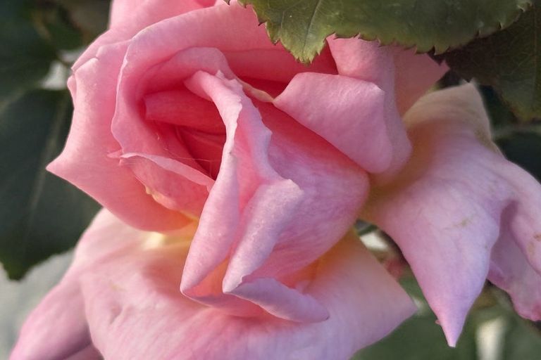 Photo of property in 132 Waerenga Road, Otaki, 5512