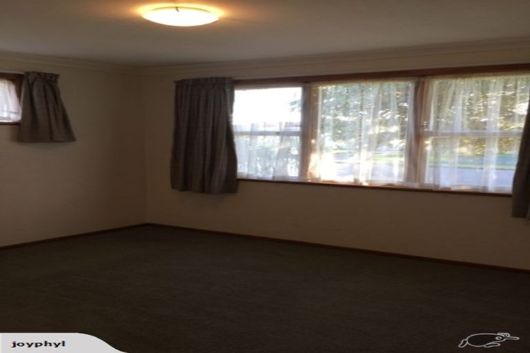 Photo of property in 16 Ferguson Street, Levin, 5510