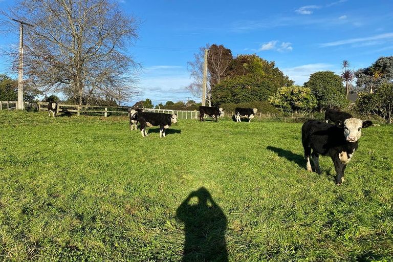 Photo of property in 4894 Ohaupo Road, Te Awamutu, Ohaupo, 3883