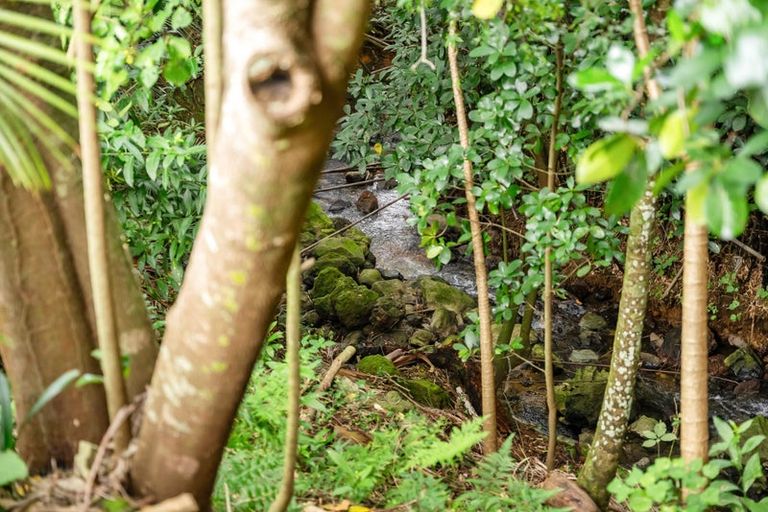 Photo of property in 17 Parkland Crescent, Te Kamo, Whangarei, 0112