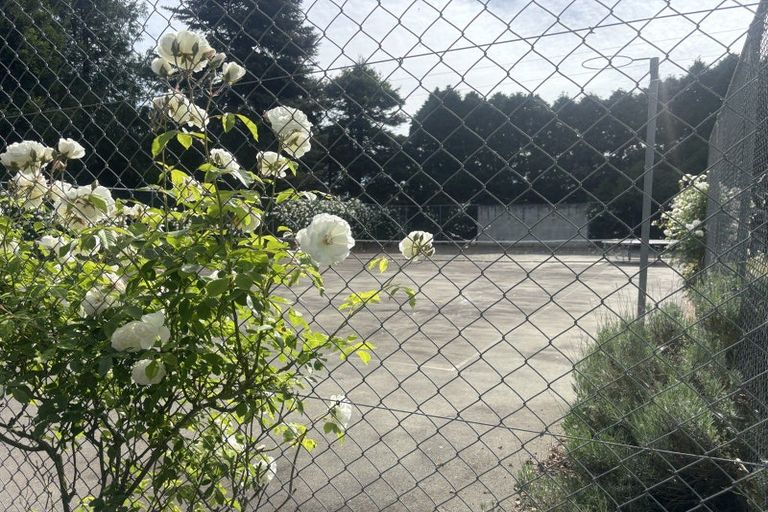 Photo of property in 768 Seadown Road, Seadown, Timaru, 7973