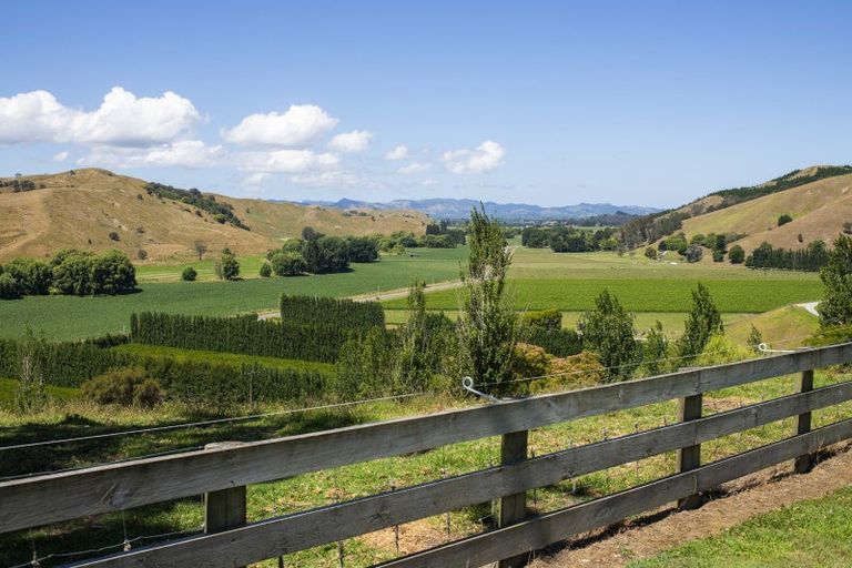 Photo of property in 909a Wharekopae Road, Ngatapa, Gisborne, 4072