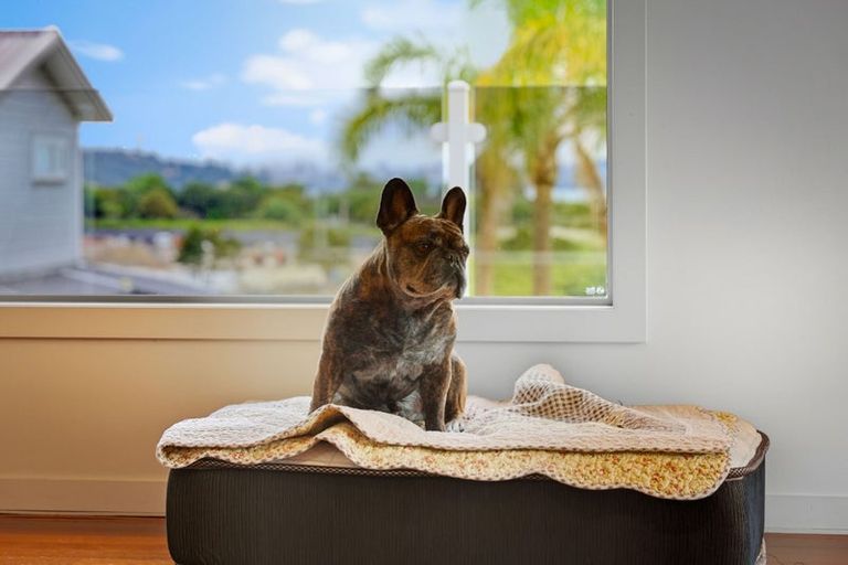 Photo of property in 23 Bannings Way, Hobsonville, Auckland, 0618