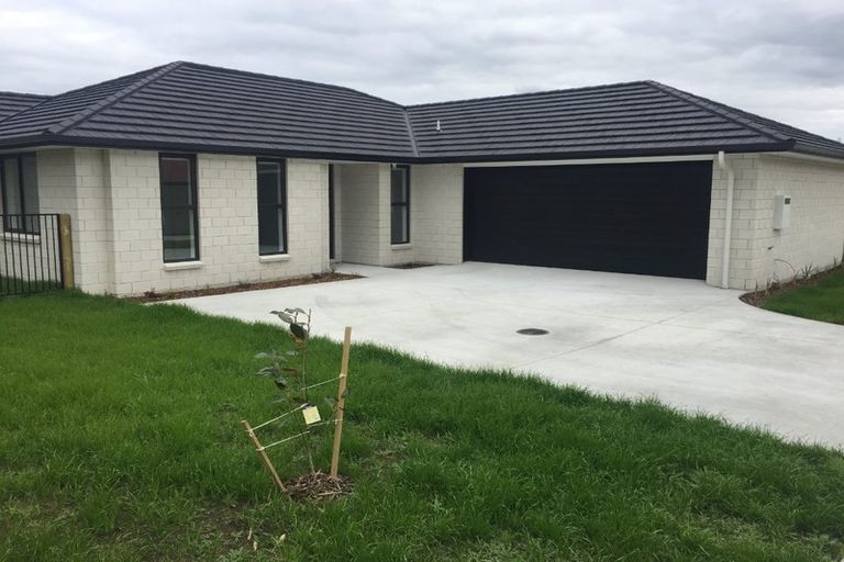 Photo of property in 10d2 Clive Road, Katikati, 3129