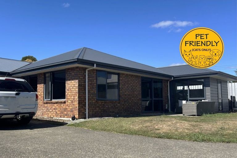 Photo of property in 32a George Street, Richmond, 7020