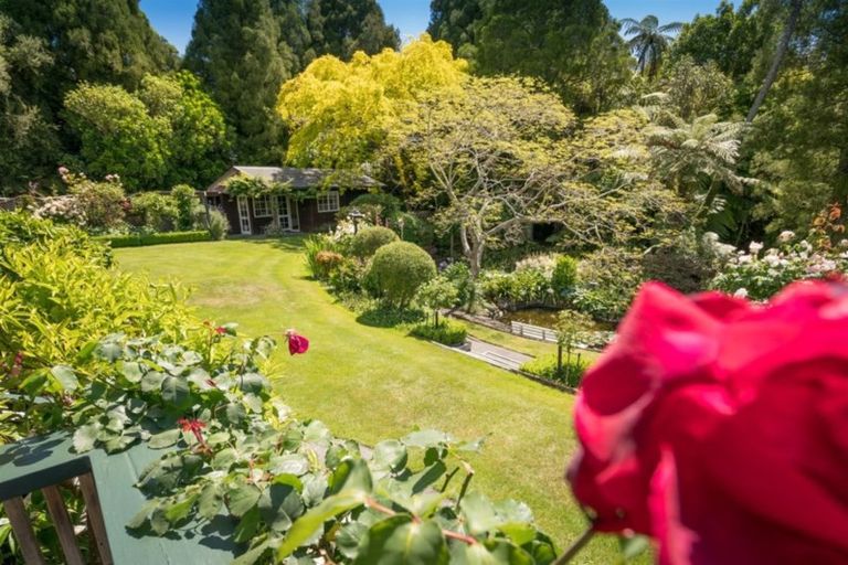 Photo of property in 50 Manu Grove, Waikanae, 5036