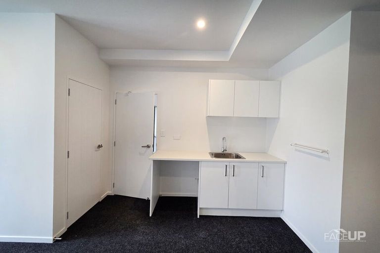 Photo of property in 15 Autumn Blaze Street, Hobsonville, Auckland, 0616