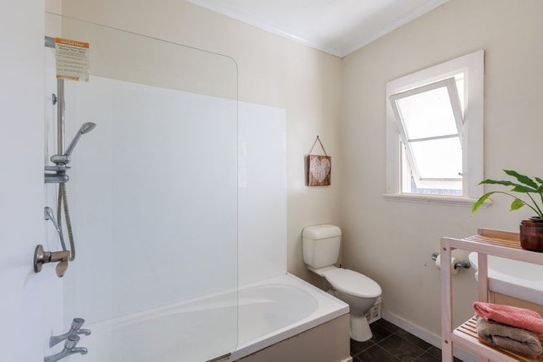 Photo of property in 47a Limbrick Street, Terrace End, Palmerston North, 4410