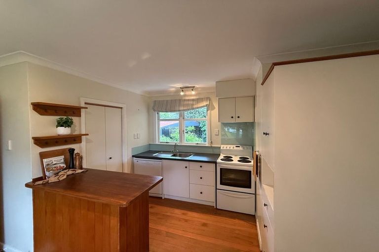 Photo of property in 45 Alfred Street, Roslyn, Palmerston North, 4414