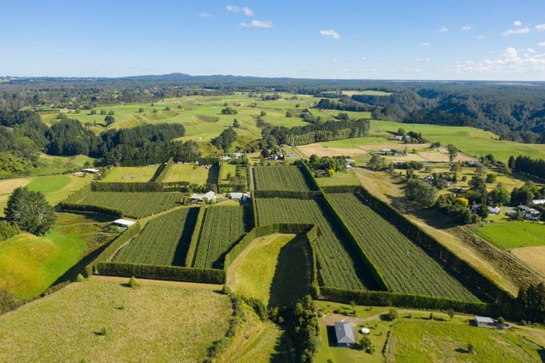 Photo of property in 585d Mclaren Falls Road, Omanawa, Tauranga, 3171