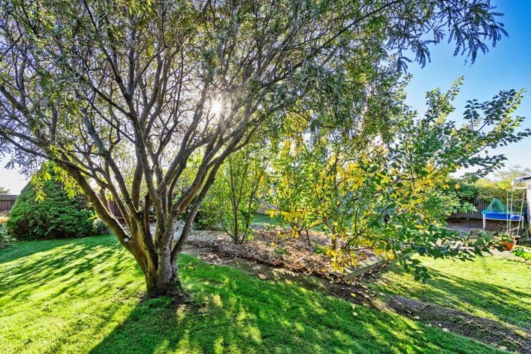 Photo of property in 168 Centre Street, Heidelberg, Invercargill, 9812