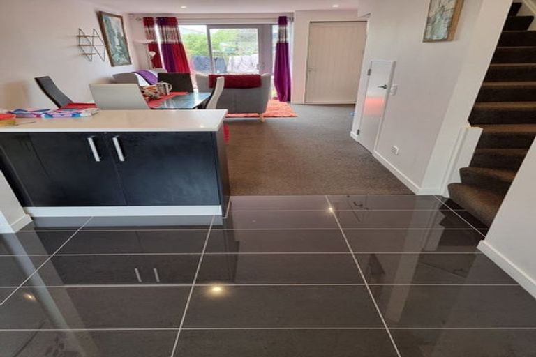 Photo of property in 24u9 Princess Terrace, Newtown, Wellington, 6021