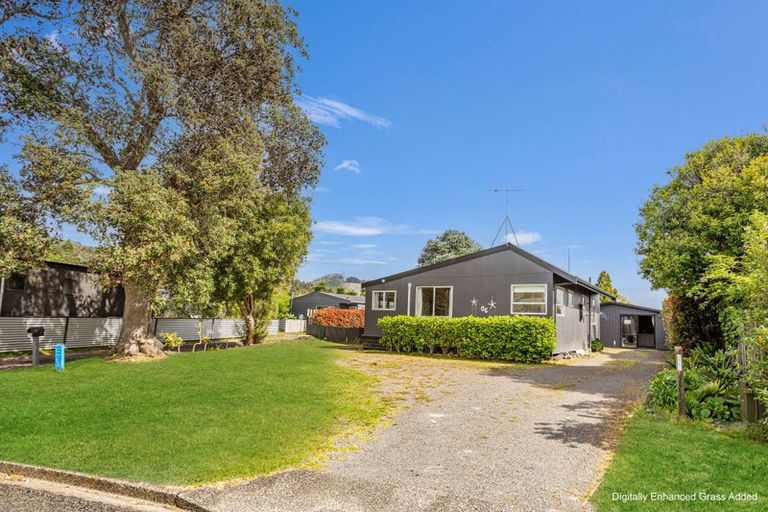 Photo of property in 106 Mckellar Place, Whangamata, 3620