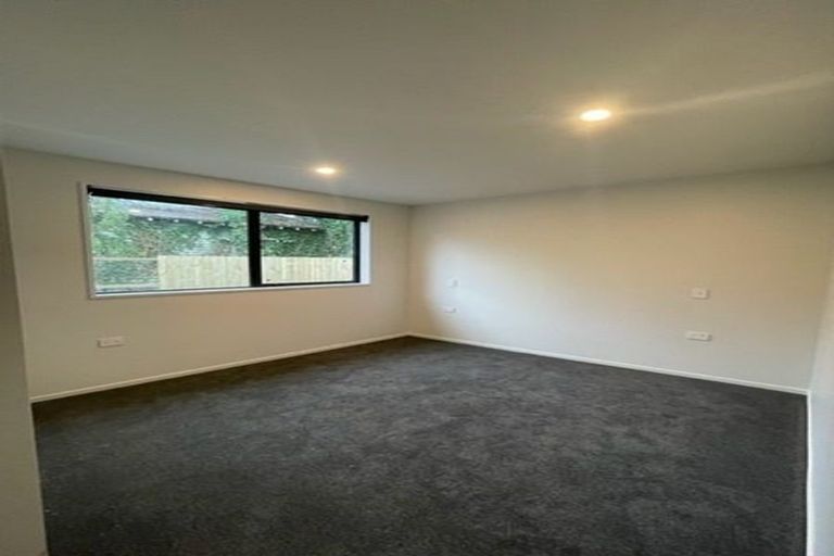Photo of property in 45b Hillier Place, Spreydon, Christchurch, 8024