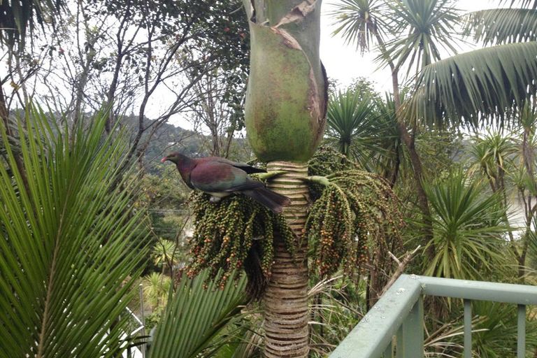 Photo of property in 11 Opou Road, Titirangi, Auckland, 0604