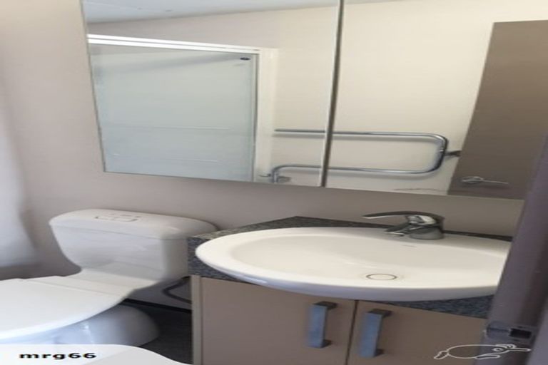 Photo of property in Dual Apartments, 108/142u Vivian Street, Te Aro, Wellington, 6011