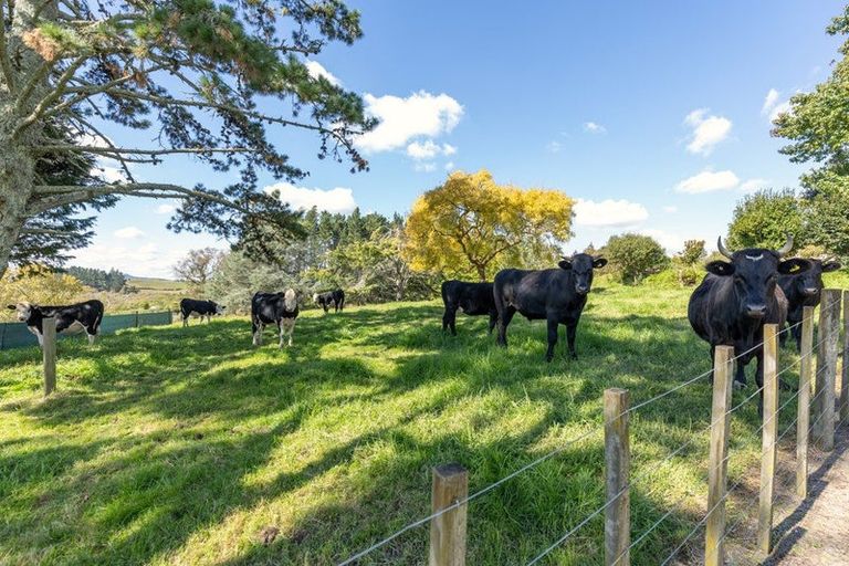 Photo of property in 319b Rotowaro Road, Huntly, 3771