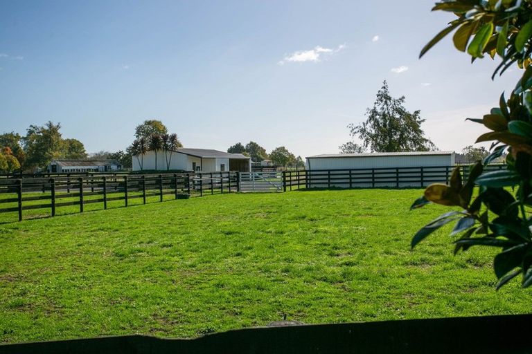 Photo of property in 273 Kaipaki Road, Ohaupo, 3881
