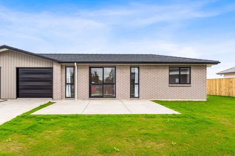 Photo of property in 115 Hinemoa Street, Levin, 5510