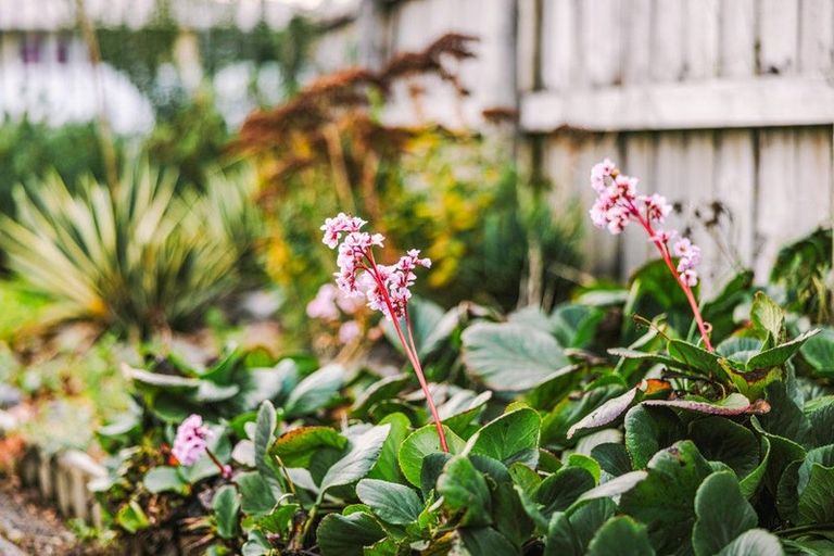 Photo of property in 79 Grandview Road, Nawton, Hamilton, 3200