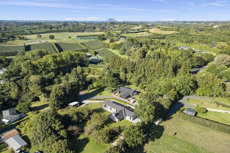 Photo of property in 120d Munro Road, Minden, Tauranga, 3179