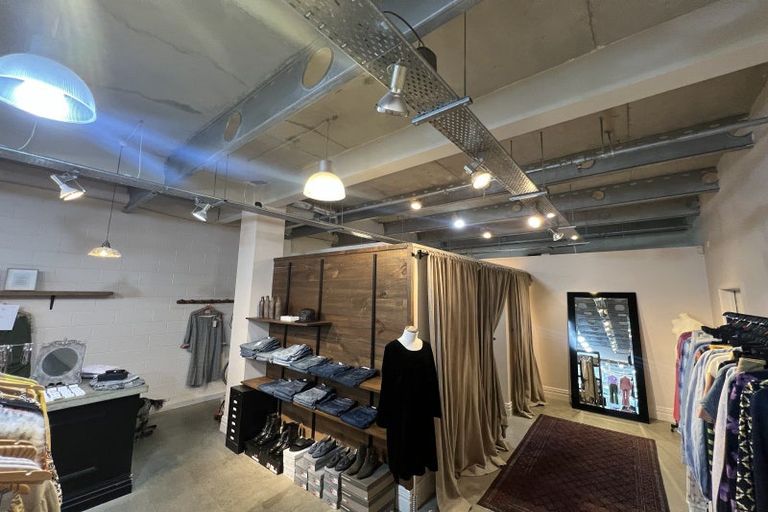 Photo of property in Trinity Apartments, 19 College Street, Te Aro, Wellington, 6011