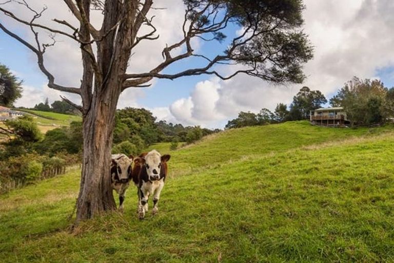 Photo of property in 1/199 Birdwood Road, Massey, Auckland, 0614
