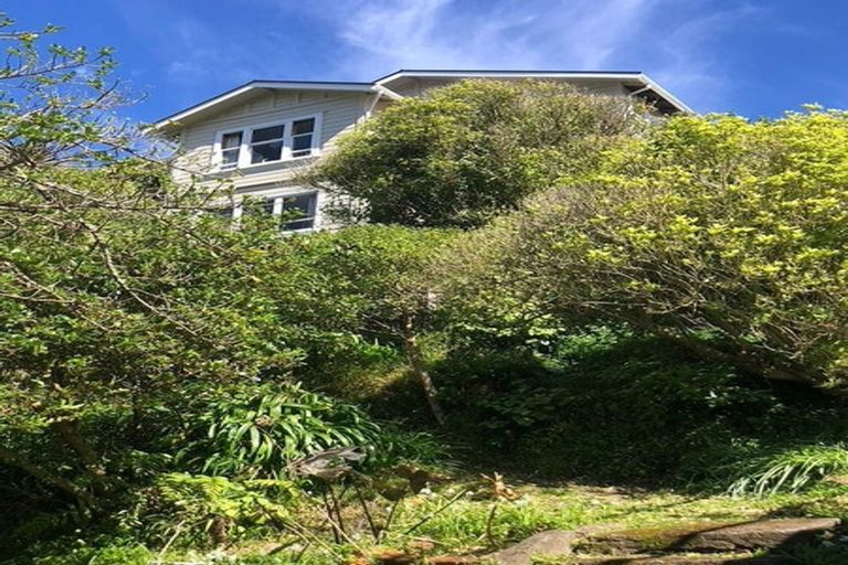 Photo of property in 19 Priscilla Crescent, Mornington, Wellington, 6021
