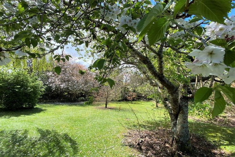 Photo of property in 52 Cordelia Street, Stratford, 4332